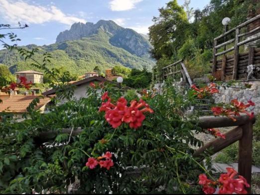 Agriturismo La Calamaia Gorfigliano エクステリア 写真