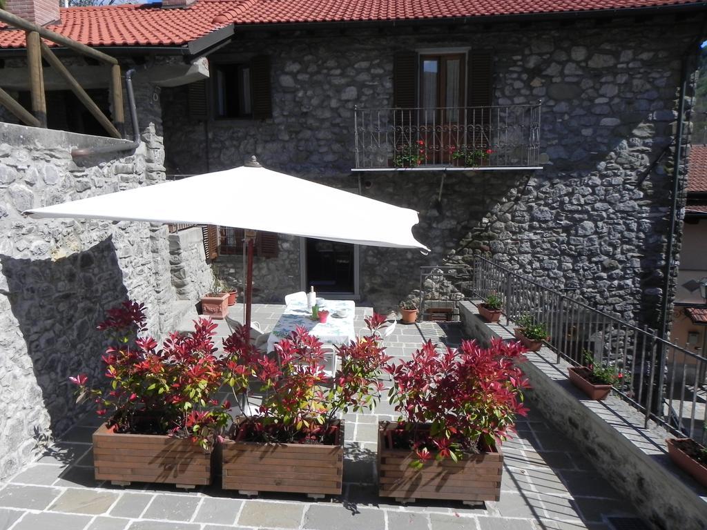 Agriturismo La Calamaia Gorfigliano 部屋 写真
